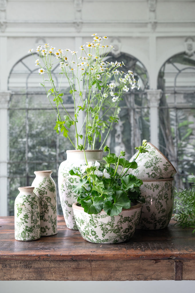 Spring & Summer 2026